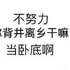 为什么都是美女配普男头像