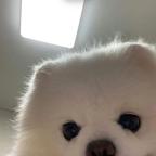 稀饭xixifanfan头像