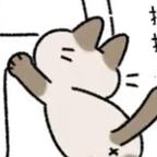 猫在看剧头像