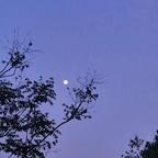 财来福来好运来。头像
