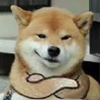 聂离*头像