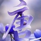 一朵忧伤的蔷薇头像