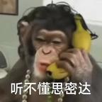 一锅炖不下的锦鲤头像