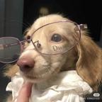 女频没惹🐶别叫头像