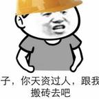 垃圾编导太多了头像