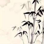 竹子头像