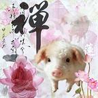 满腔 怒火的超级婵猪头像