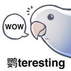 鹦teresting头像