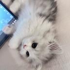 uu头像