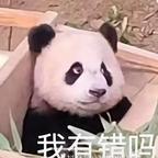 宇宙寻梦总队长头像
