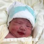 內头像