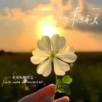 爱做梦的小辰浠头像