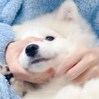 桥月牙头像