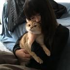 Zz.头像