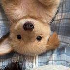重生之我在红果看短剧头像