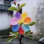 一念菩提头像