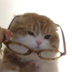 摸会儿鱼头像