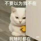 钱钱宝宝头像
