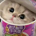 方便喵头像