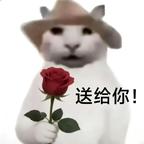 随手打开的无脑追剧人头像