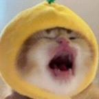 不是癫剧我不看头像