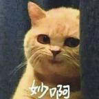 嘎嘎咕头像