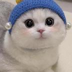 猫猫家的铲屎官头像