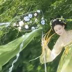 苏桐感悟头像