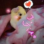 莲子啊清如水头像