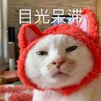 两目无神的侍卫长头像
