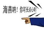 海燕……漂流在外头像