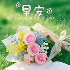 平安喜乐✨杏宝头像