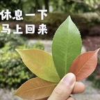 冰镇肉夹馍头像