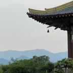 噫吁嚱头像