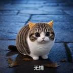 蓝色港湾头像