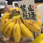 臭鱼烂虾退退退头像