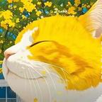 翘嘴角的猫咪头像