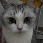 桑画头像