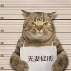 钦乄神头像