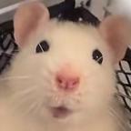 妄头像