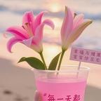 淋雨季头像
