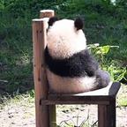 没空陪你闹～头像