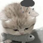 忧月离头像