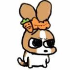 发财兔呀！头像