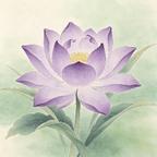 半池莲影生华头像