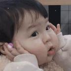 红果子走不出中…头像