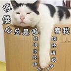 草莓是蓝莓味头像