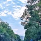理解2686头像