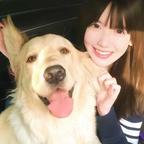 不想吃猪食🐽头像