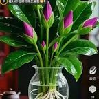 用户名96156985头像